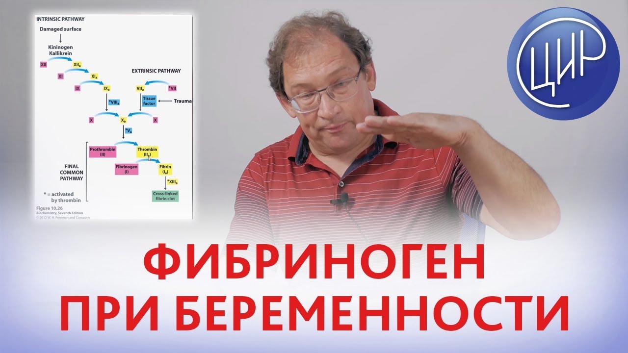ФИБРИНОГЕН при БЕРЕМЕННОСТИ. Превращение фибриногена в фибрин и тромбоз при беременности.