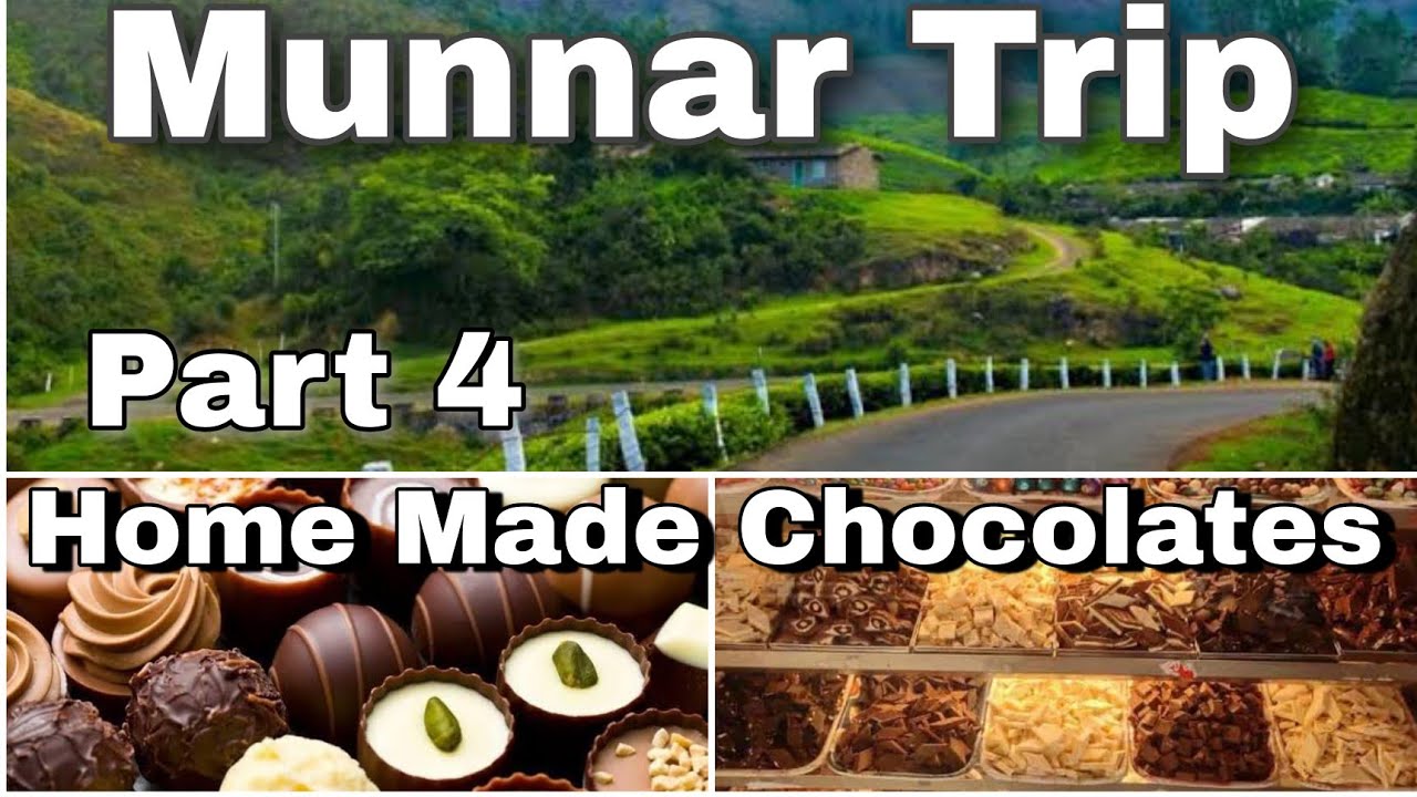 Munnar Vlog Part 4 | Homemade Chocolates | Tea Estates | Driving | Kia Sonet | The Traveller Show