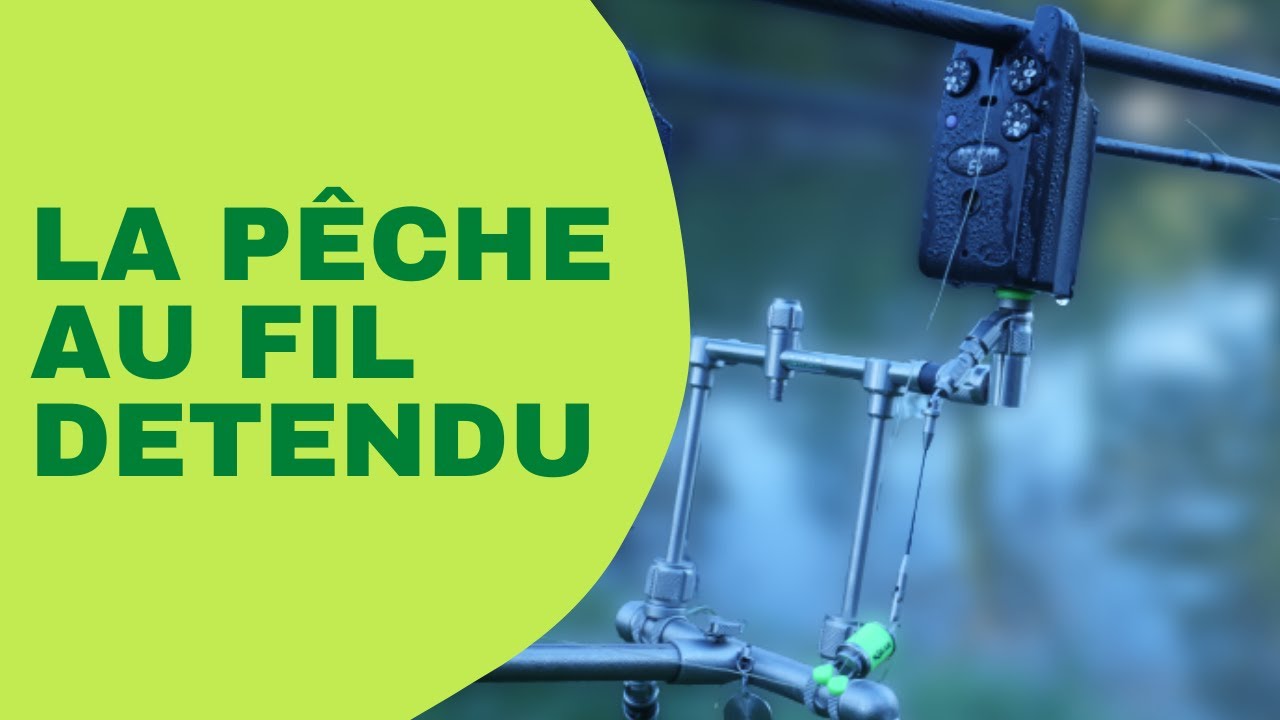 TECHNIQUE DE PECHE - FIL DETENDU pour la CARPE