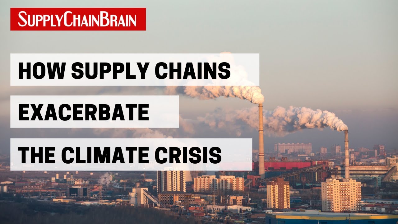 How Can Supply Chains Embrace Sustainability?