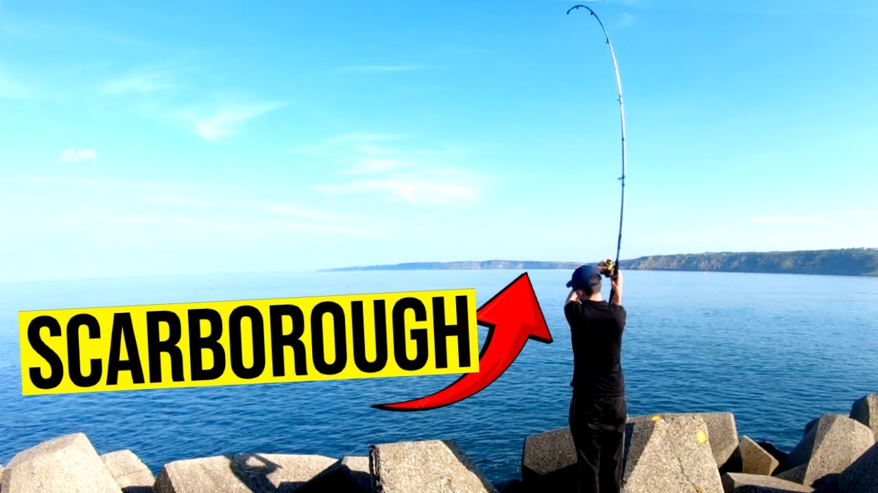 I WENT SEA FISHING IN SCARBOROUGH