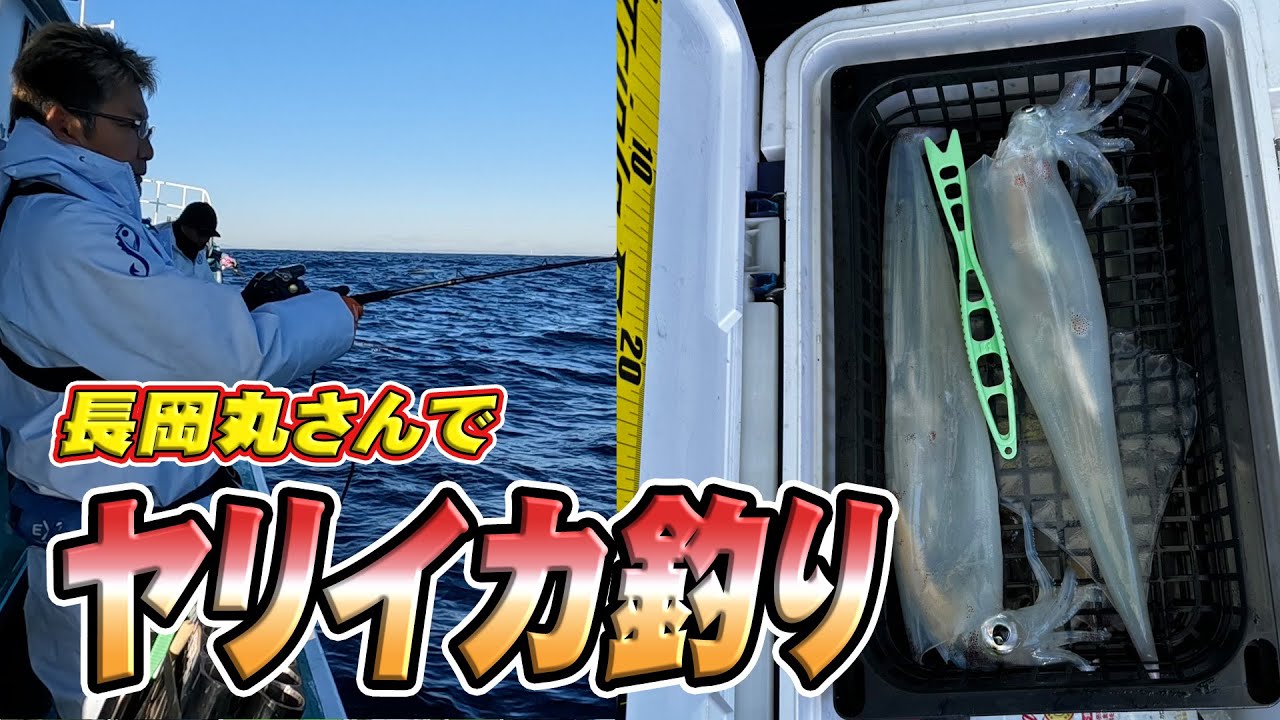 【ヤリイカ釣り】鹿島港 長岡丸さんでヤリイカ釣りに挑戦してきました！