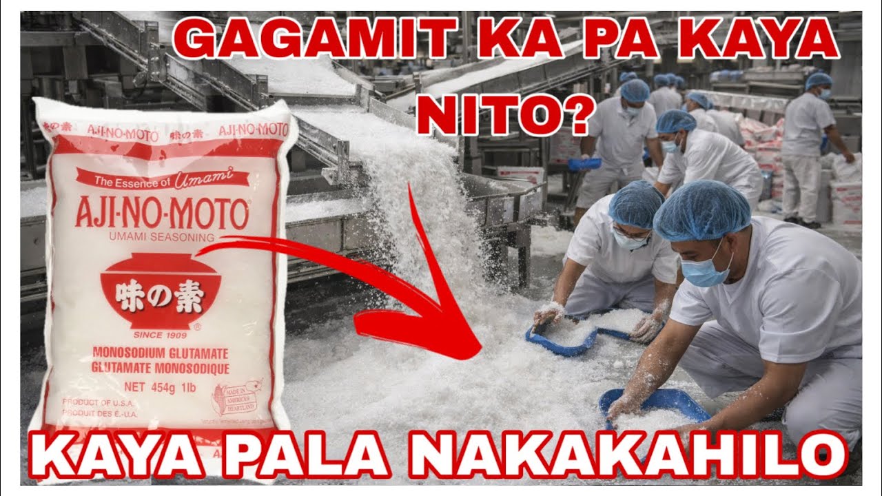 PAANO NAGSIMULA ANG VETSIN (AJINOMOTO)? NAKAKAGULAT PALA ANG TOTOONG EPEKTO NITO SA KATAWAN!