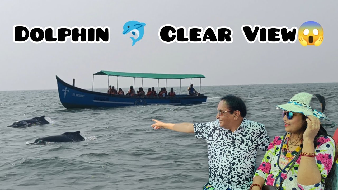 Dolphins Clear View 😱(Part -4) | Coco Beach Goa | Baga Beach Goa At Night
