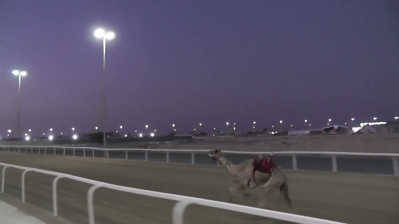 ش1 بكار حقايق / 3 ك متر / الشاهينية / محمد بن صباح النعيمي / 