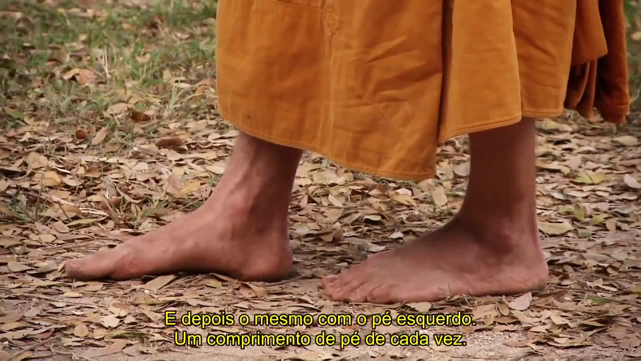 Como Meditar III - Meditação Andando (Yuttadhammo Bhikkhu)
