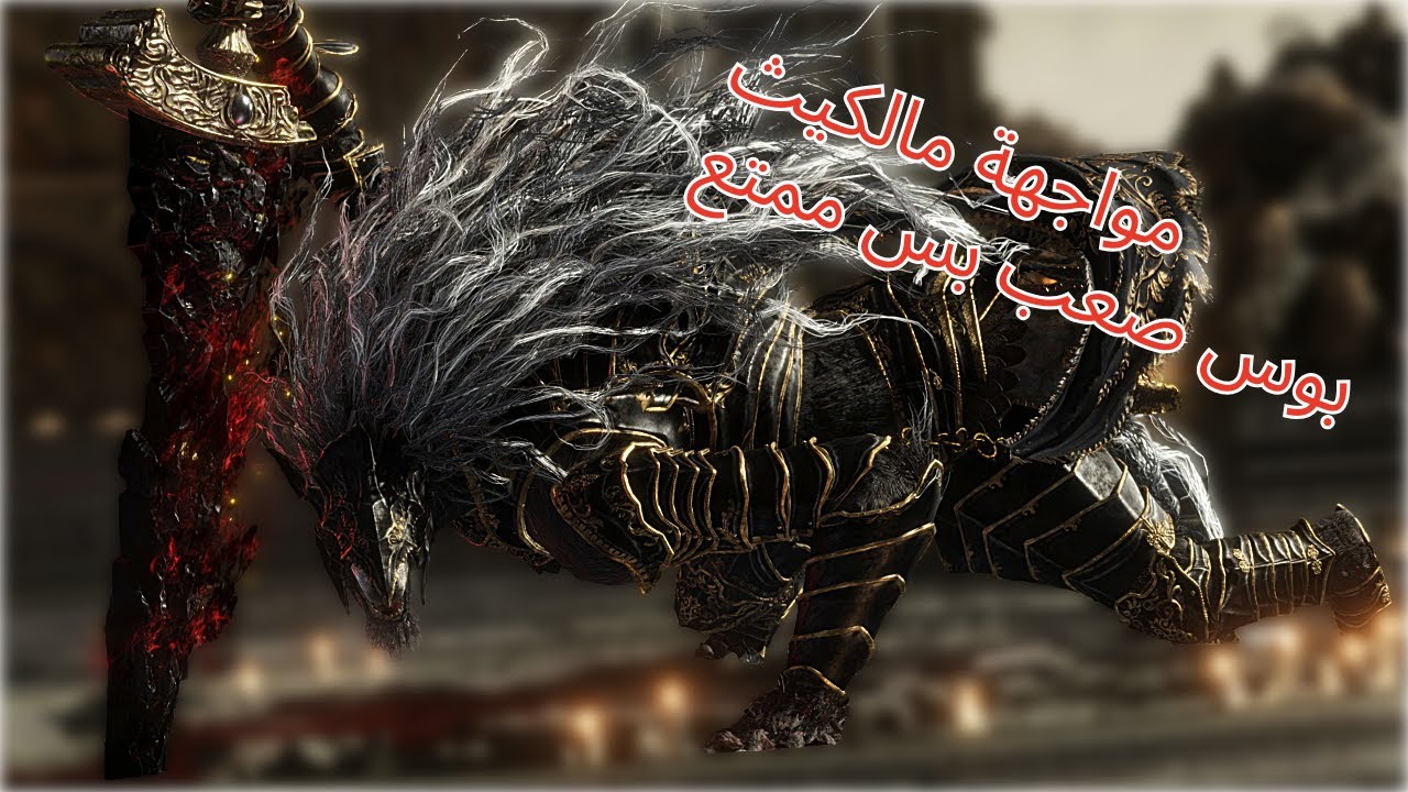 عدنا الى البثوث والى ايلدن الي راح تجلدني | Elden Ring #7