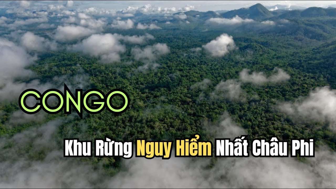 Rừng Congo - Sự Thật Rùng Mình Về Khu Rừng Nguy Hiểm Nhất Châu Phi | Bí Ẩn Chưa Được Khám Phá