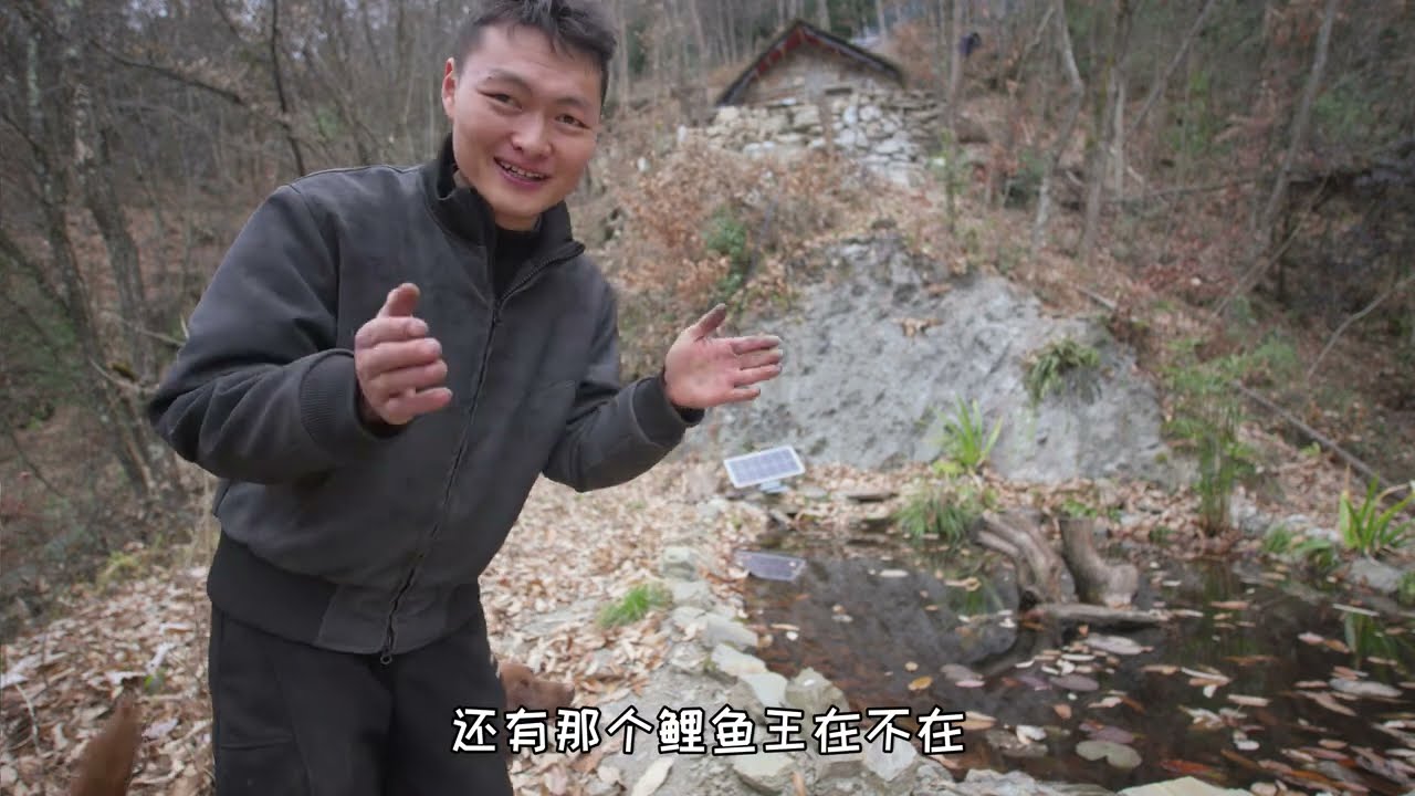清理一下鱼塘时隔一年鱼王依旧健在~ #农村生活