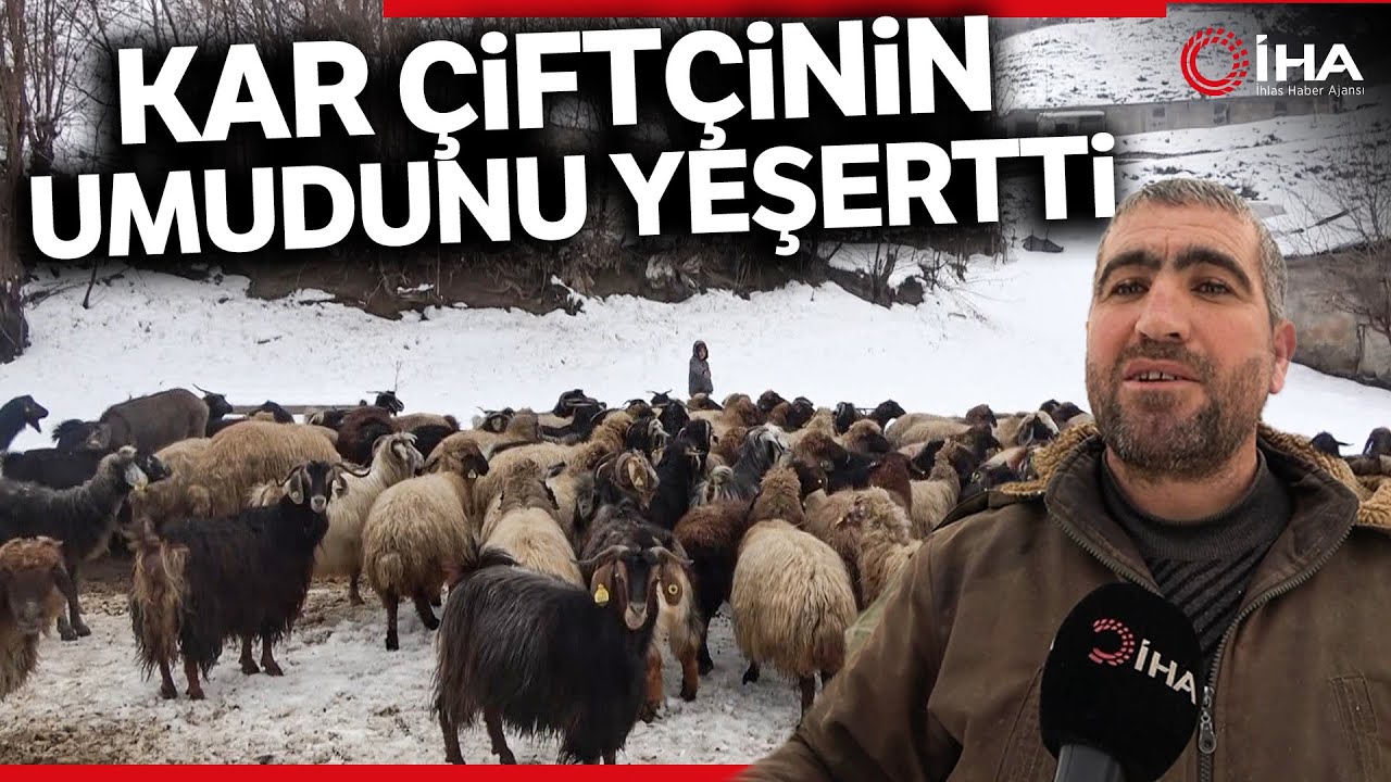 Muş'ta Etkili Olan Kar Yağışı Çiftçinin Yüzünü Güldürdü