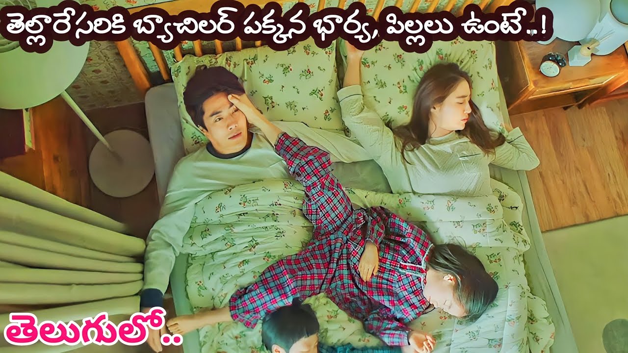 ఓ Bachelor నిద్రలేచి చూస్తే.. భార్య, ఇద్దరు పిల్లలతో ఉన్నాడు | Movie Explained in Telugu