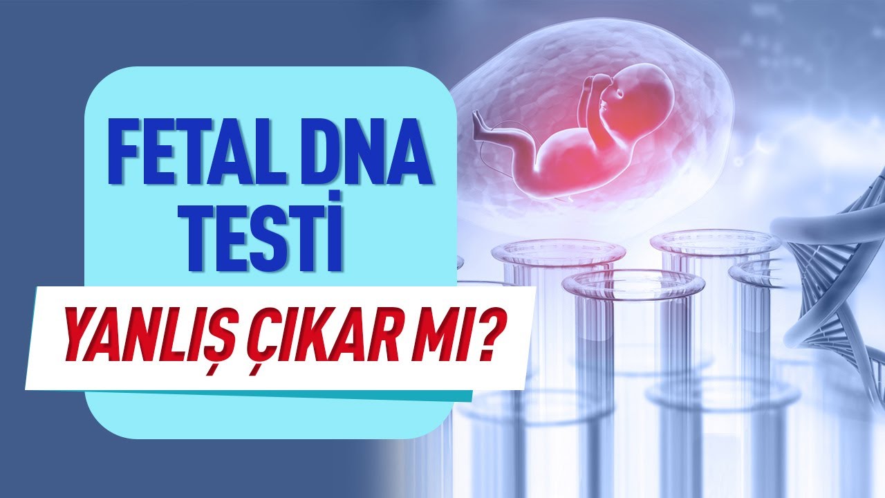 Fetal DNA Testi Nedir? Fetal DNA Testi Nasıl Yapılır? Fetal DNA Testi Yanlış &Ccedil;ıkar mı?