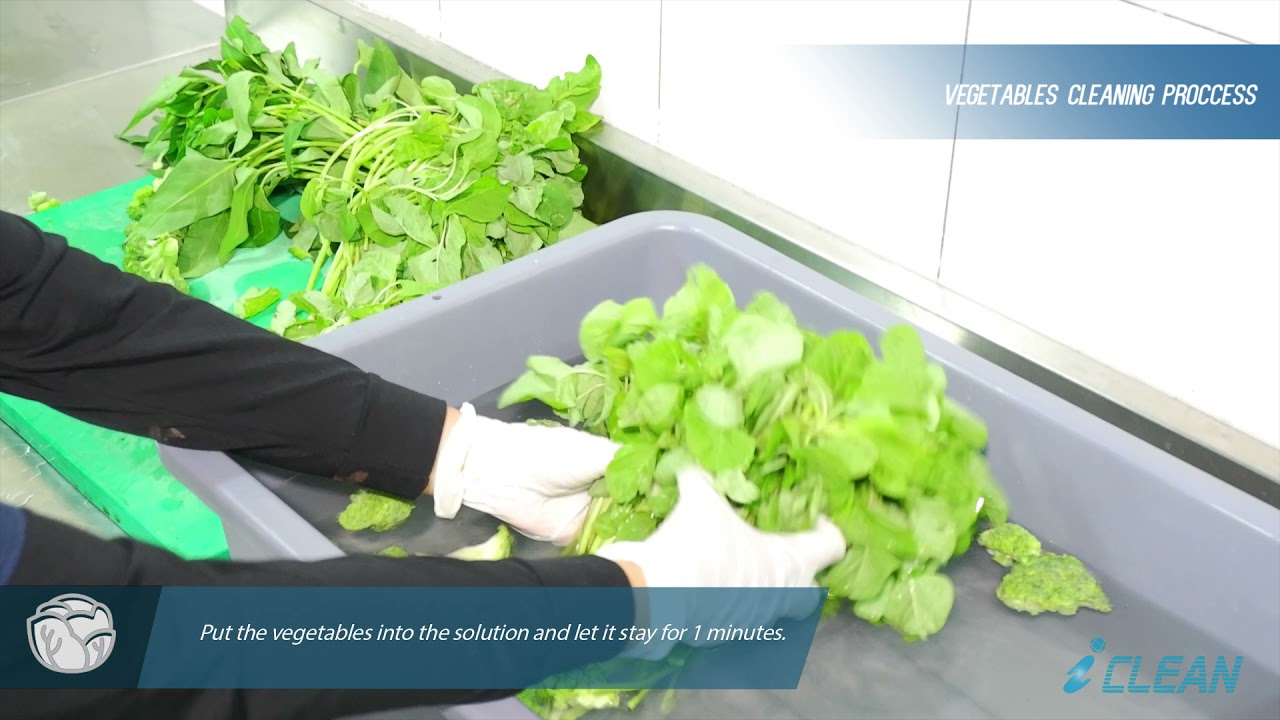 CLEAN STEPS FRUIT & VEGETABLES WASH SANITATION - English Version