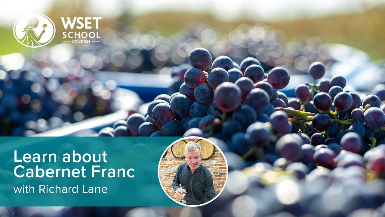 Learn about Cabernet Franc with Richard Lane DipWSET