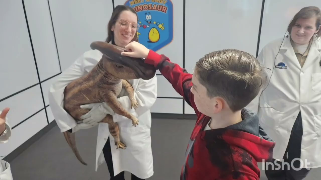 Jurassic world experience #dinosaur #experience #videos #subscribe 