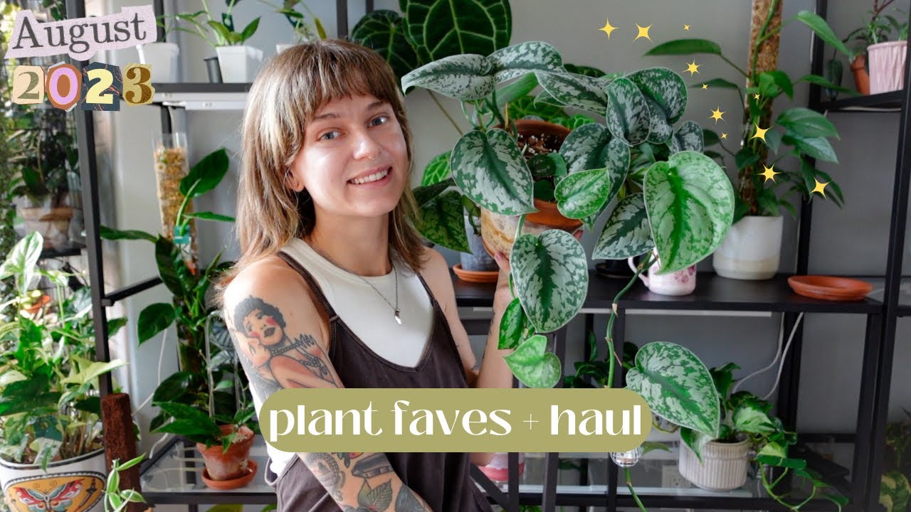 august favourites + new plants that I haven't talked about yet (collective summer haul!) 🌻