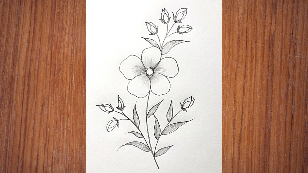 Flowers Drawing | Flower Drawing Easy | Flower Art | Flower Design Drawing 3