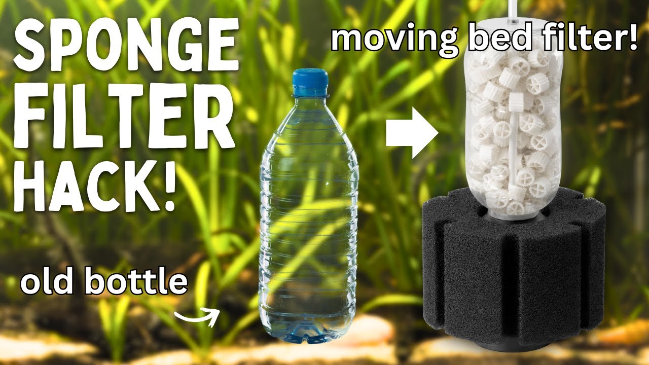 How to Turn a Sponge Filter Into a Moving Bed Filter!