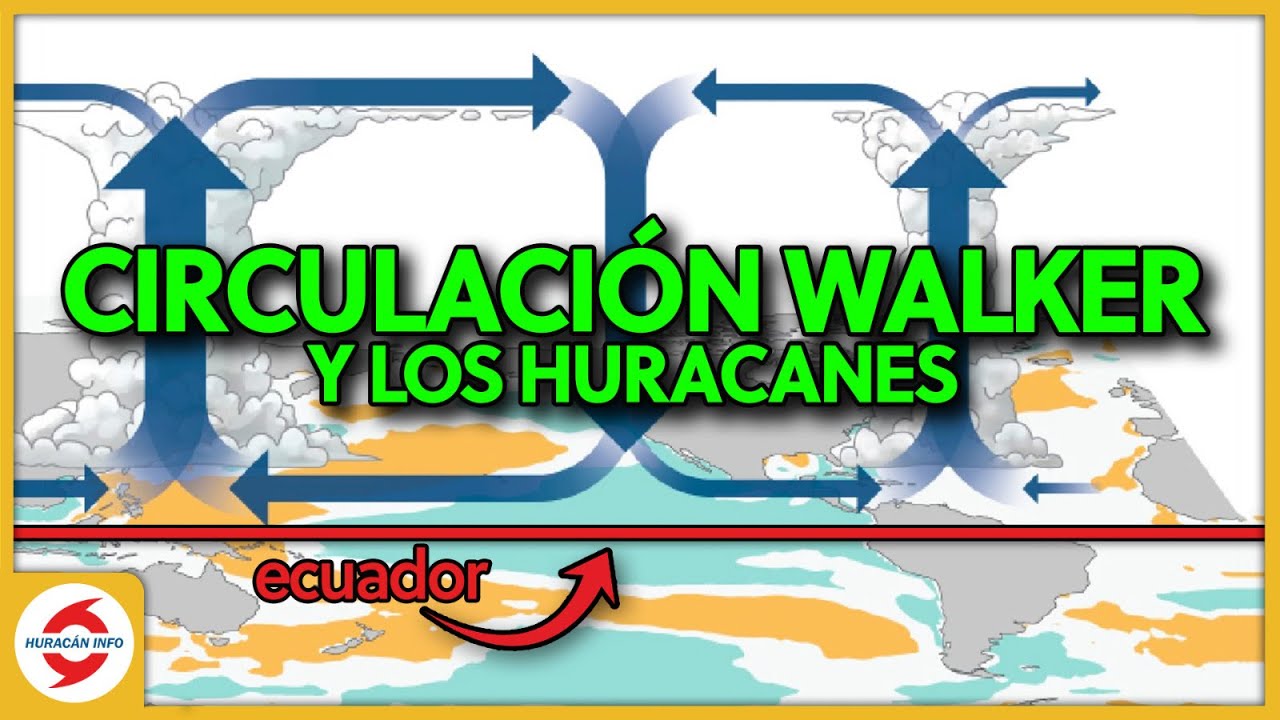 La influencia de El Niño y La Niña en la circulación Walker y los huracanes.