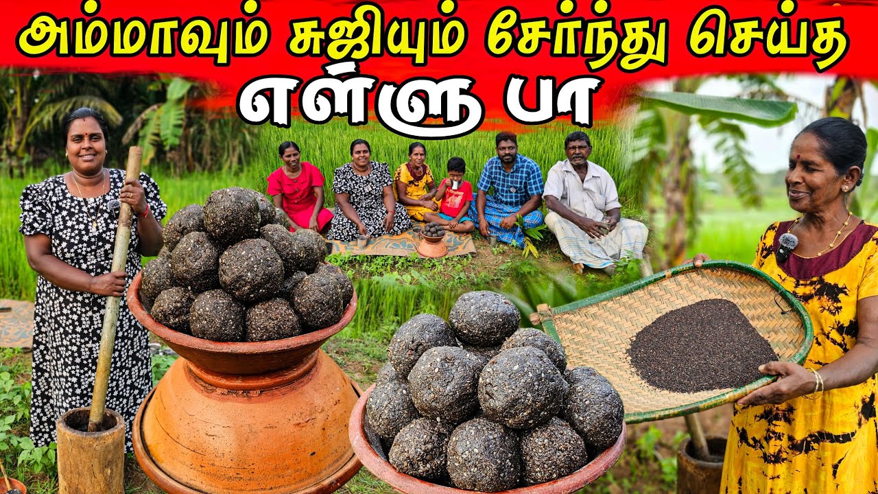 அம்மாவின் கைப்பக்குவத்தில் செய்த எள்ளு பா | Our Village life | traditional food | vanni vlog