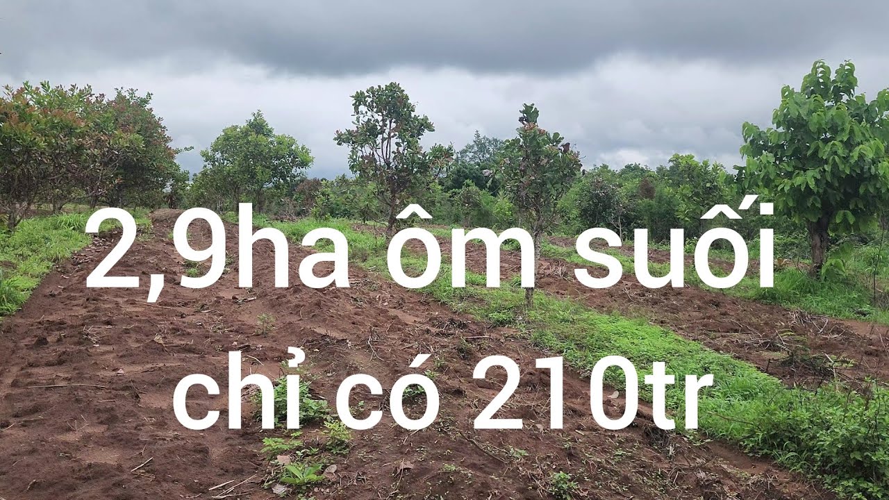 Cần nhượng 2,9ha ôm suối lớn chỉ có 210tr quá rẻ