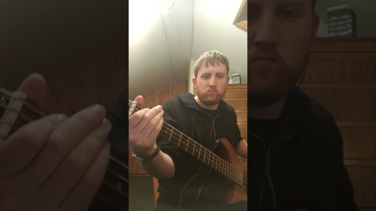Sanri - She Past Away (Bass Cover)