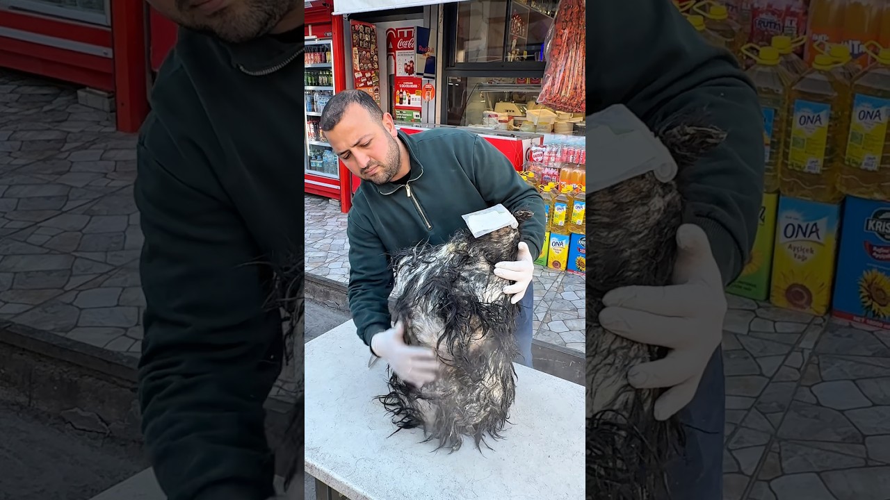 Ke&ccedil;i deri tulum peyniri !! #cheese #peynir #peyniryapımı #youtubeshorts #keşfet #cheeselovers #food