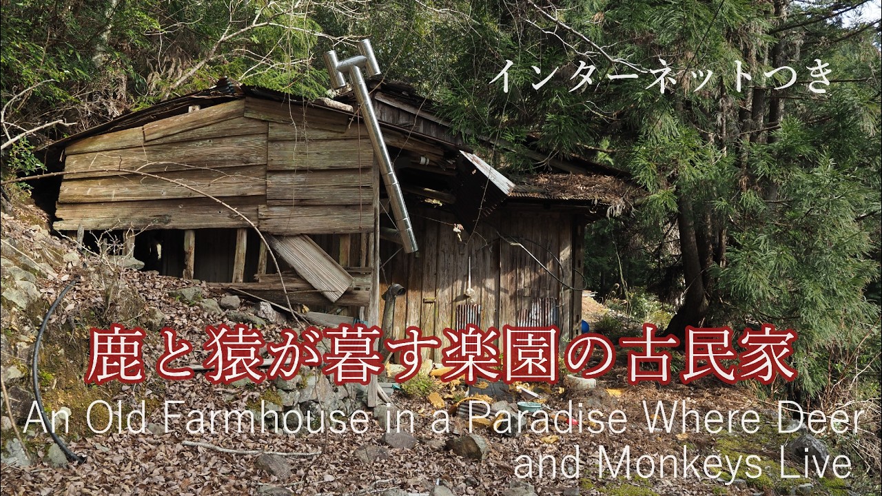 山奥で鹿と猿が暮す楽園の古民家（インターネットつき）　An old farmhouse deep in the mountains, home to deer and monkeys