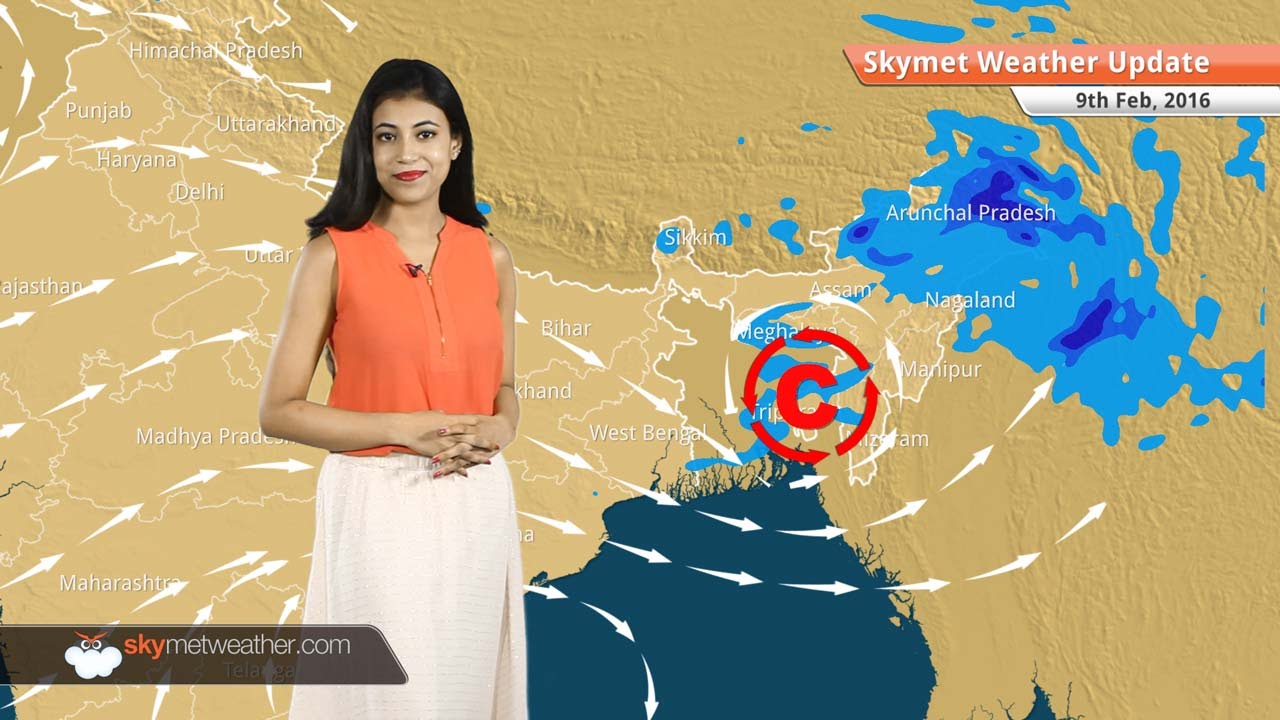 Weather Forecast for February 09: Northern plains, Delhi-NCR to witness single digit temperatures
