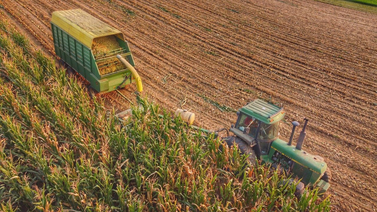 Chopping Corn 2022! - JD 4450, 3970, 716a