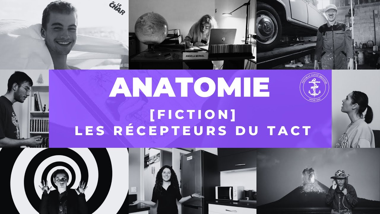 [Fiction] Anatomie - Les récepteurs du tact