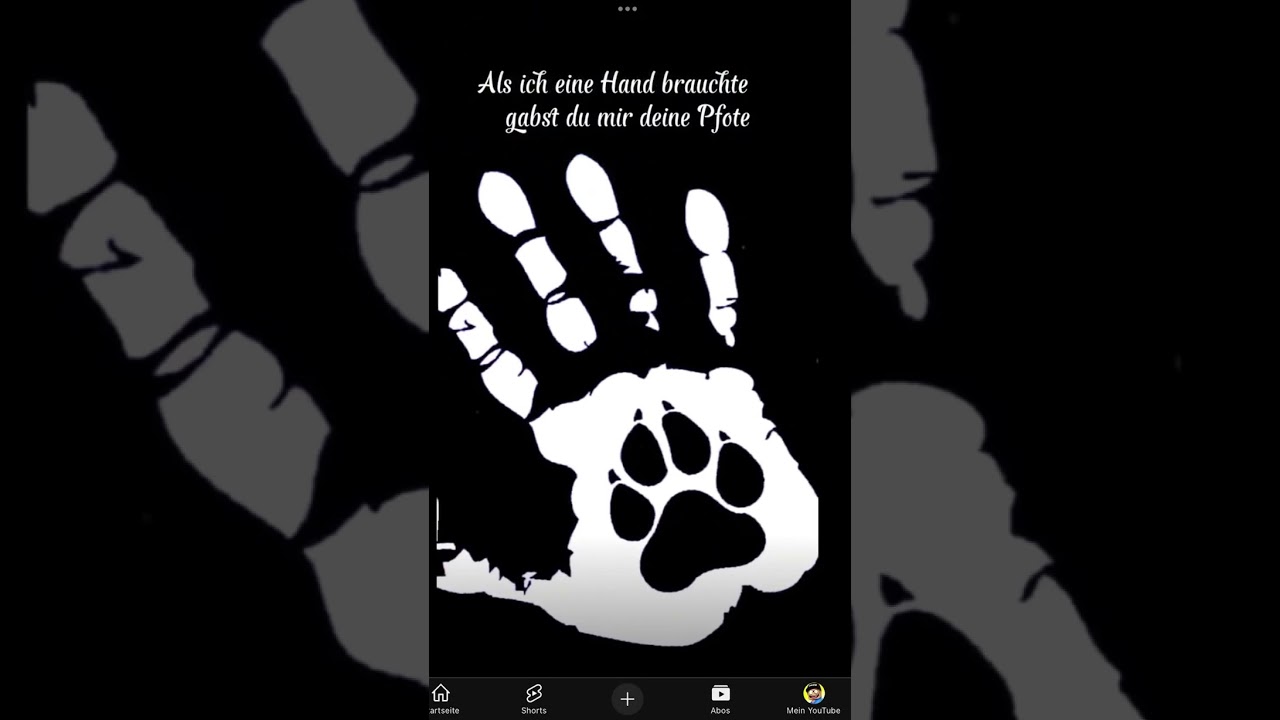 ⁠@Abbaok @AbbaokGaming Mein Hund Kira