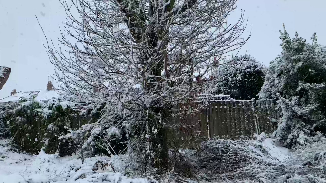 Visit Cookridge | This Winter