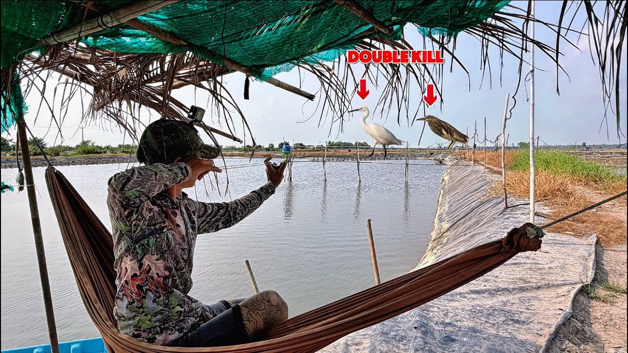 Tuấn Nhỏ và Đảm Nguyễn || kết hợp thì bày cò trắng trên trăm con này khó mà bay lên được...