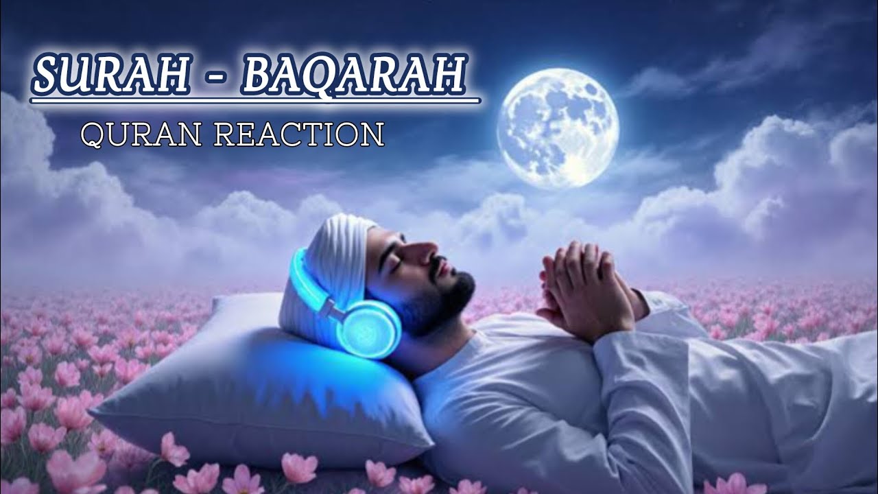SURAH AL - BAQARAH | QURAN REACTION  |  THE VOICE OF  Mishary Rashid Al-Afasy