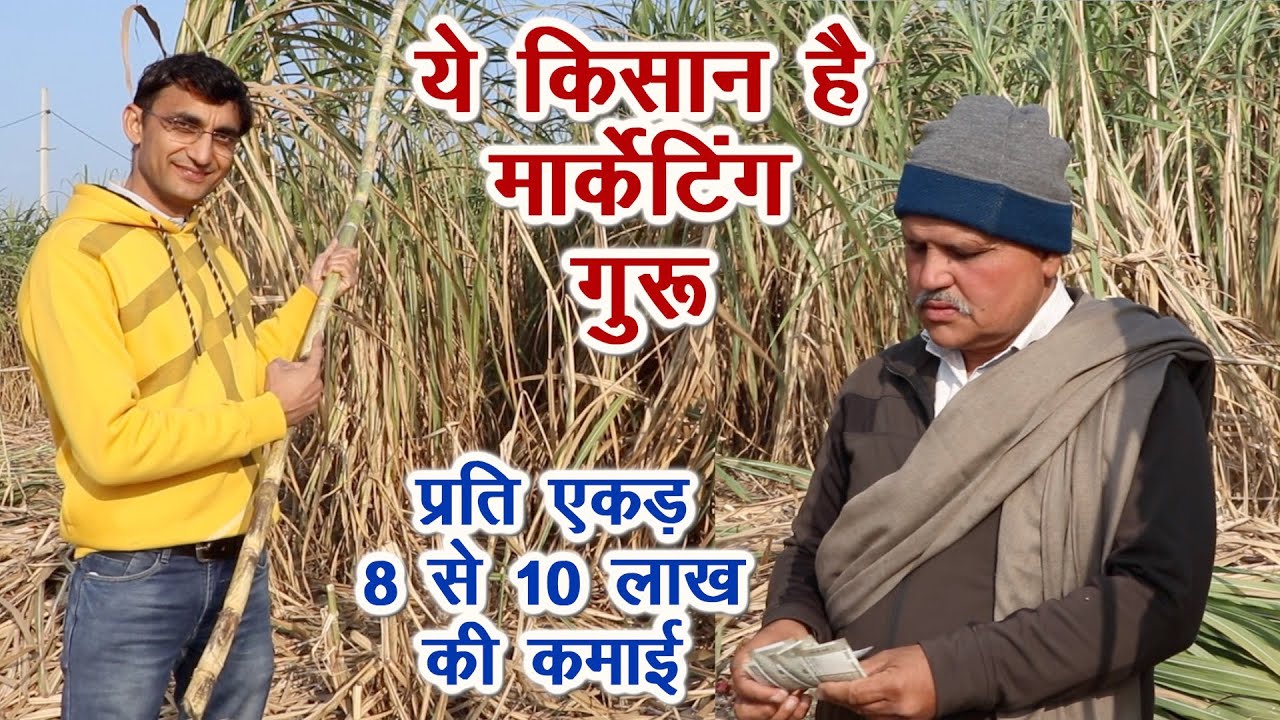 मार्केटिंग गुरु किसान से सीखिए 8 से 10 लाख रुपए प्रति एकड़ कमाई का तरीका, Marketing Expert Farmer