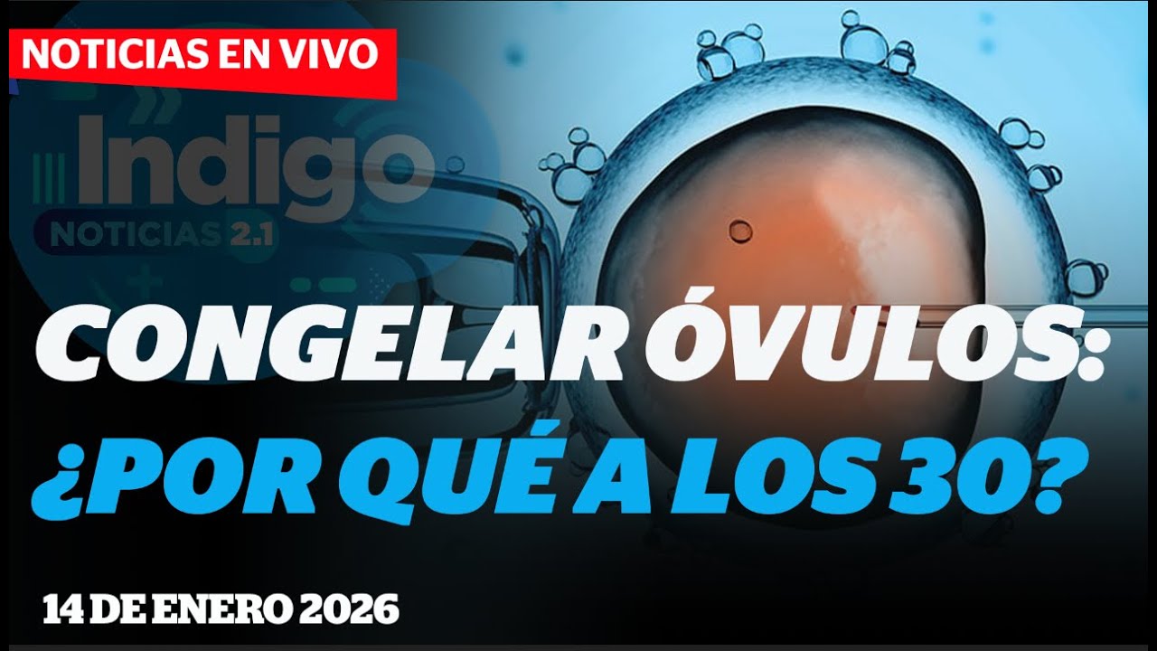 ¿Regalo inteligente? Todo sobre congelar óvulos a los 30 | Reporte Indigo