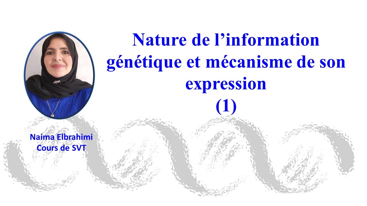 Cours SVT- Bac-Biof: Nature de l’information génétique : Etapes de la Mitose  (1) 2Bac - 1Bac SM