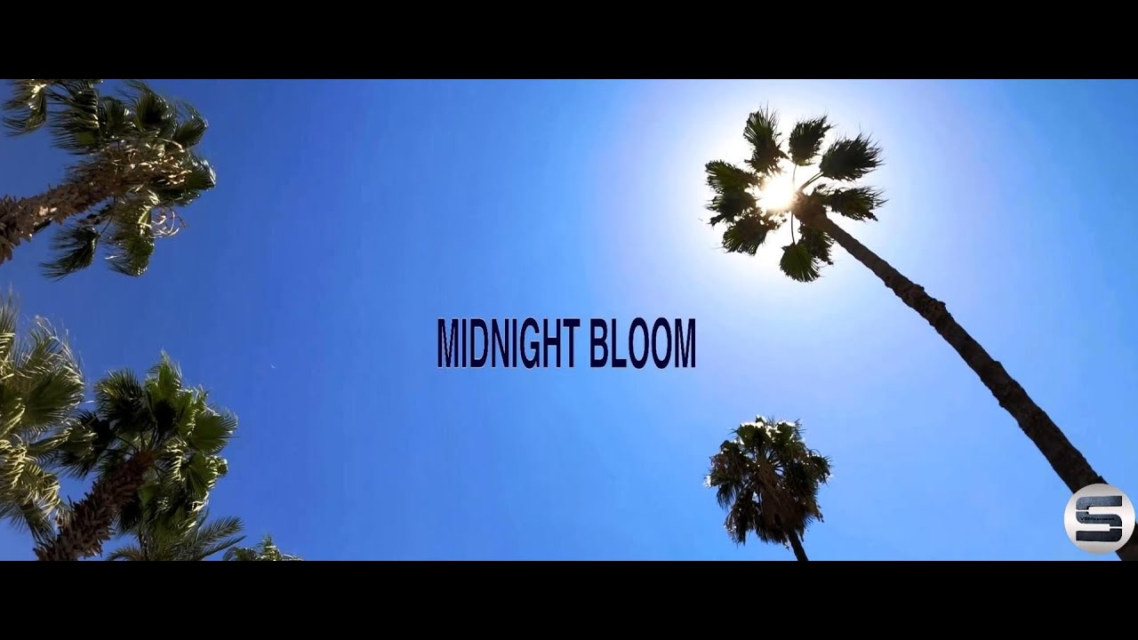 Aurora Soul - Midnight Bloom