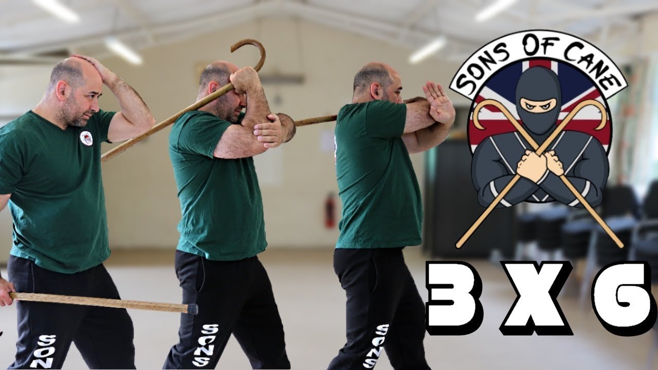 The 3 x 6 Stance Walking cane self defense: CaneMasters techniques