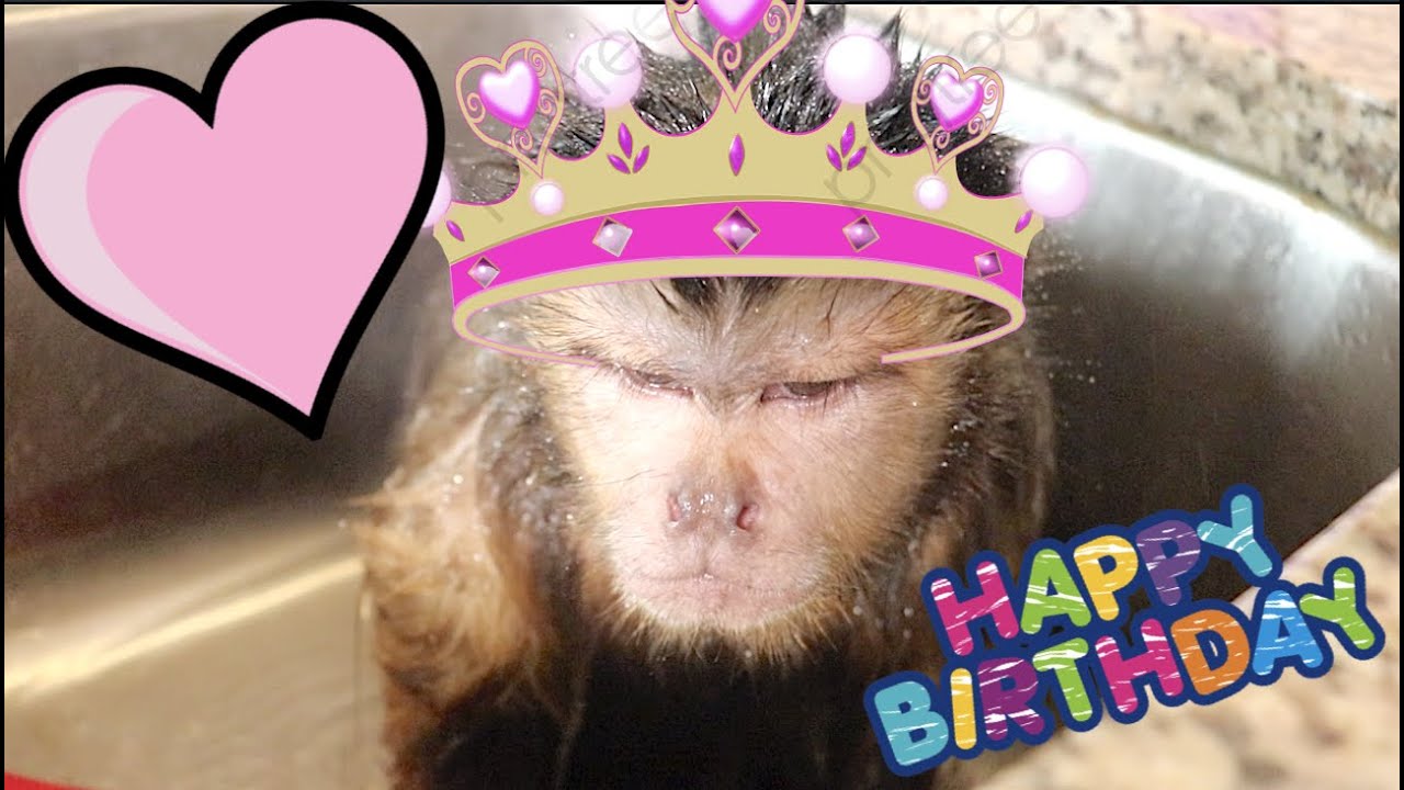 Monkey Princess Birthday Bath!