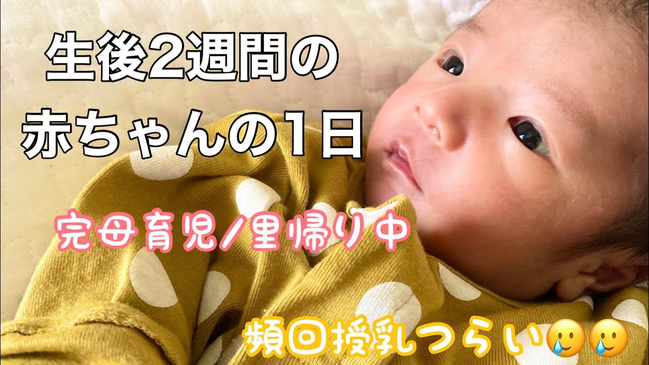【新生児】生後2週目の赤ちゃんの1日/ルーティン/￼新生児/育児/完全母乳