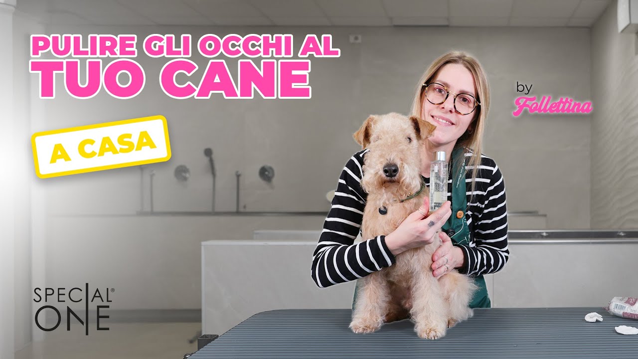 Pulizia occhi del tuo cane a casa - by SpecialOne Cosmetics