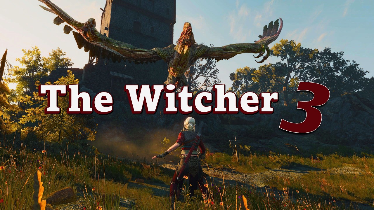 The Witcher 3 (Pt 14) 🐺