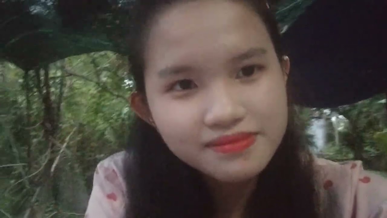 TẾT ĐẾN TẾT VỀ  - DƯƠNG ÁI VY | DIỆU HẠNH COVER 