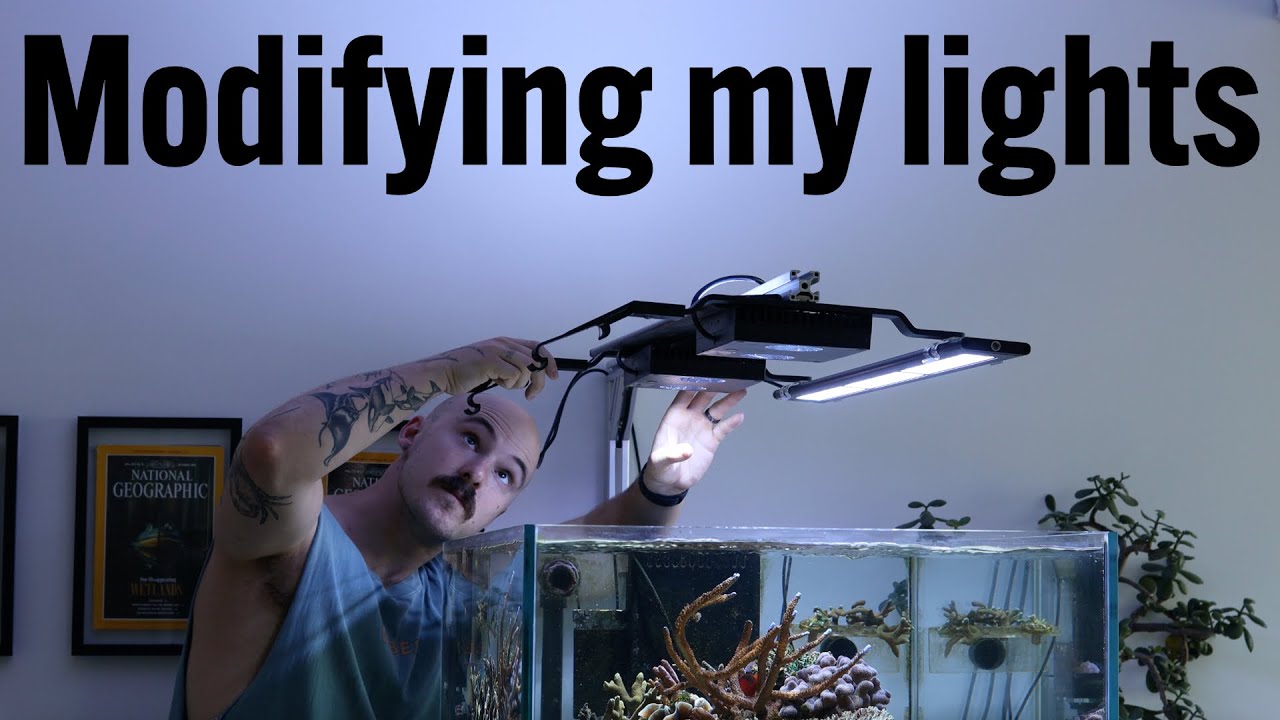 Modifying the Lights on my Custom Peninsula Reef Aquarium