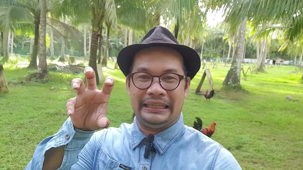 Paano at Bakit Nagiging Winning Line ang Bloodlines ng isang Breeder