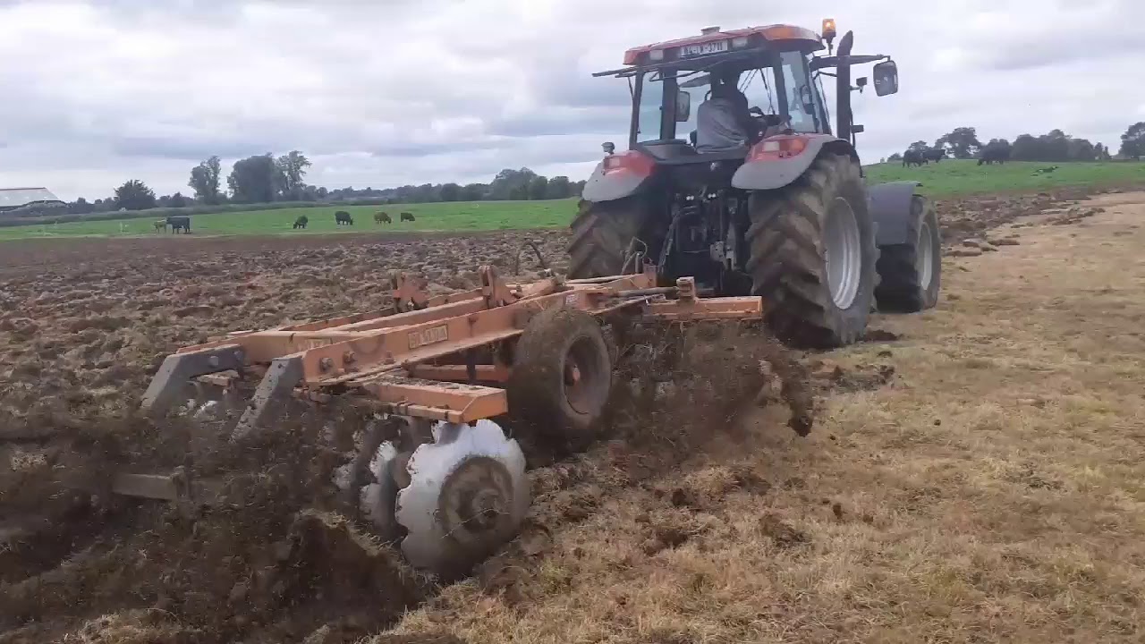 Case mxm 140 and simba disking for fodder rape
