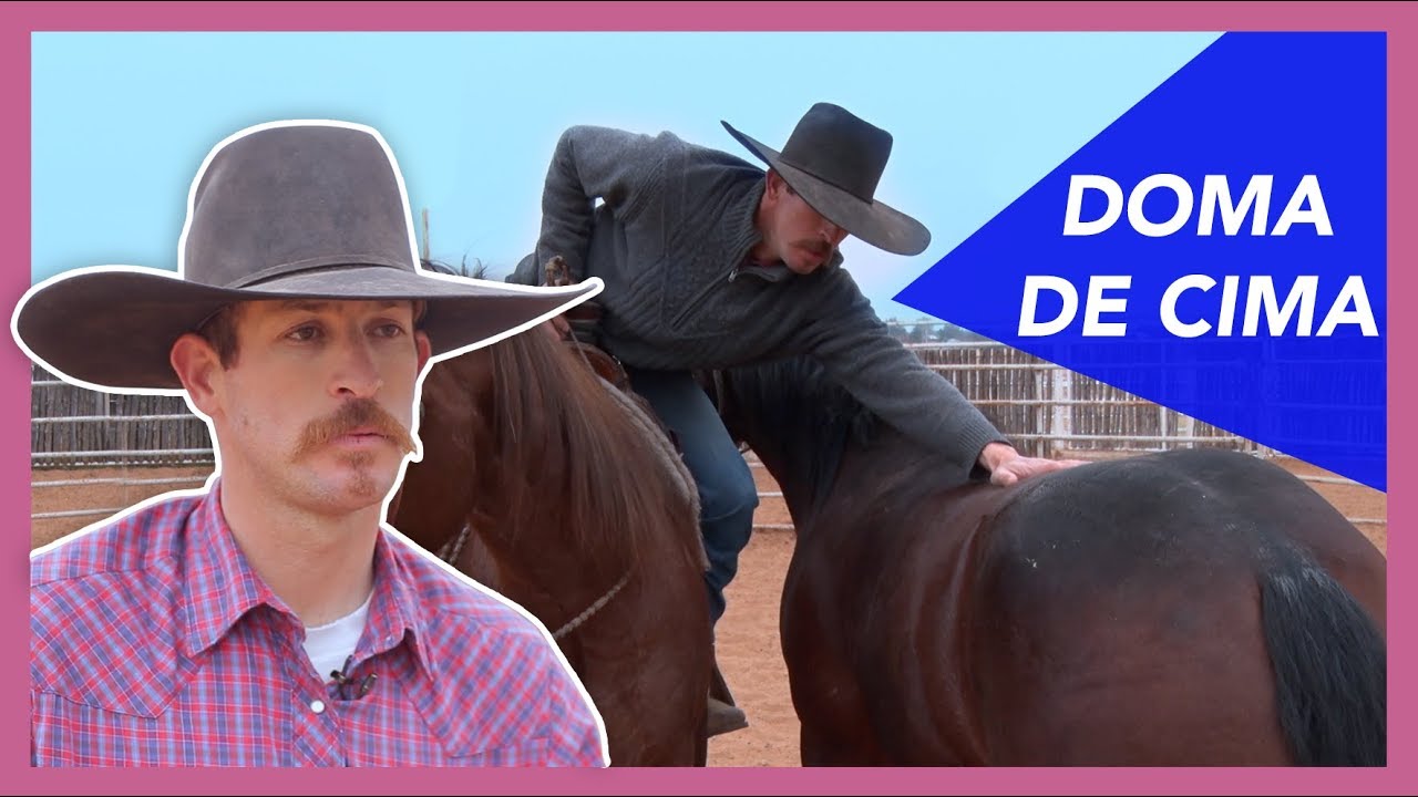 COWBOY  doma ao estilo dos VAQUEIROS do OESTE AMERICANO