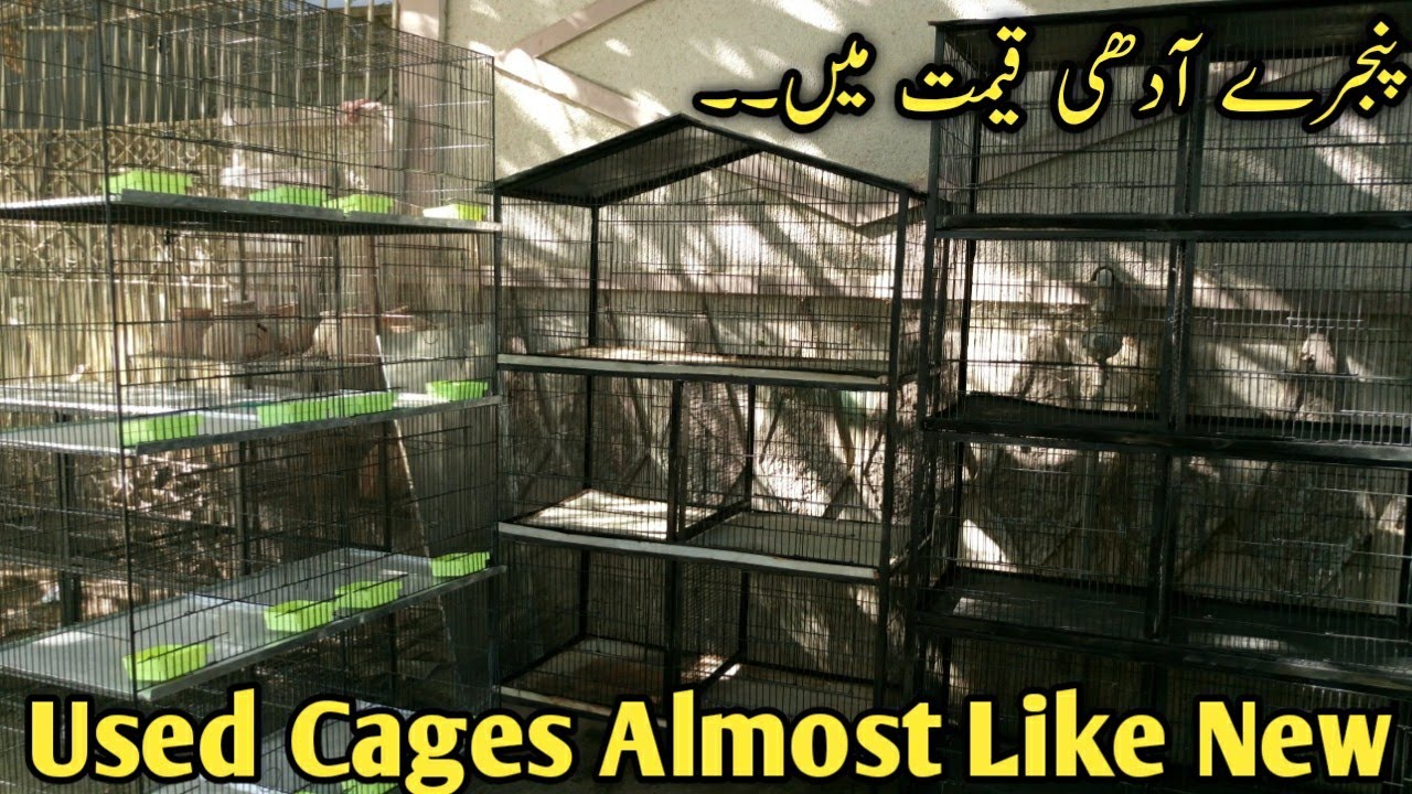 Used Cages in Cheap Price || Cheap rate Cages in Karachi ||Saste pinjre || #B4BIRDS